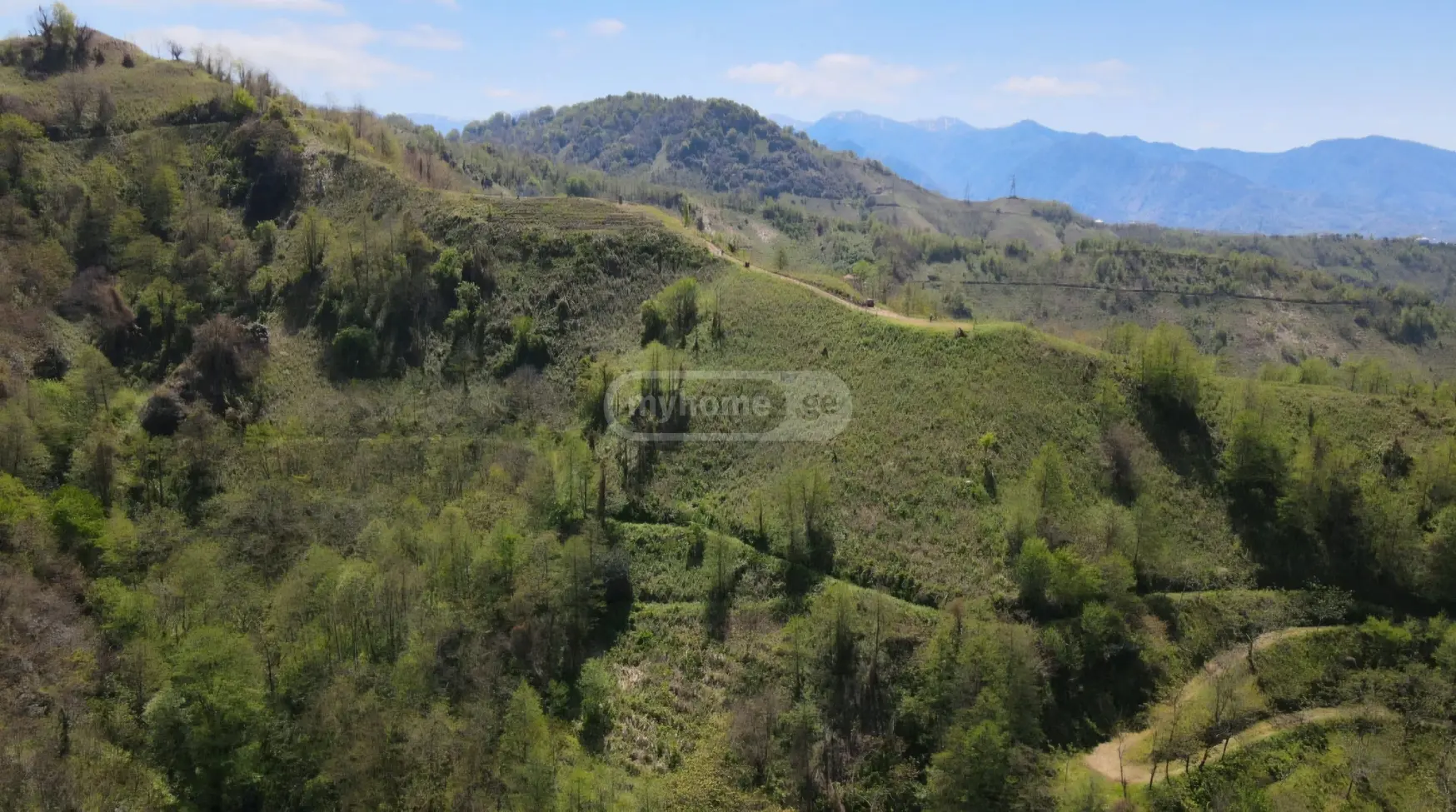 For Sale Sasoplo-Sameurneo Land Plot In Batumi, 5 of 12