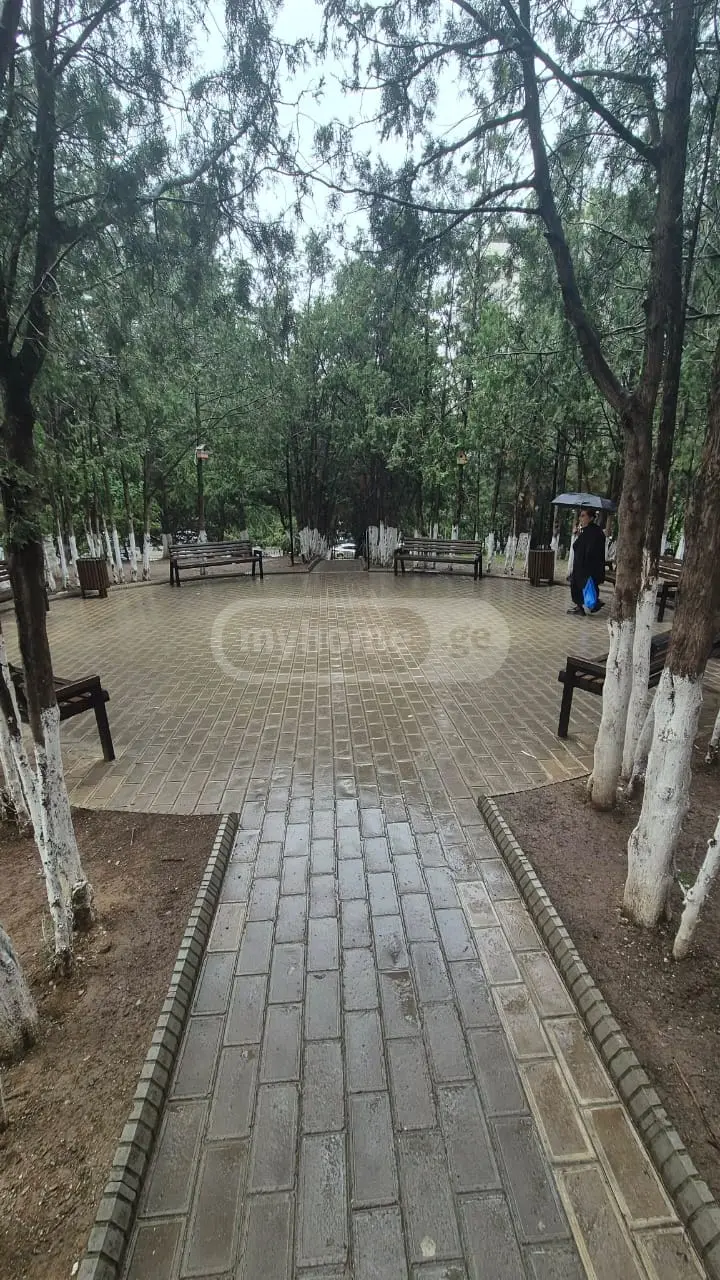 For Rent 2 Room Apartment, 2 of 12