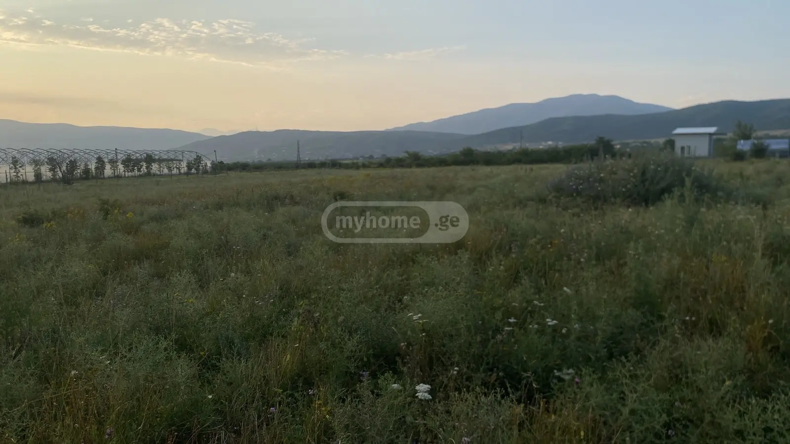 For Sale Sasoplo-Sameurneo Land Plot Mtskhetis Munitsipalitetshi view 2