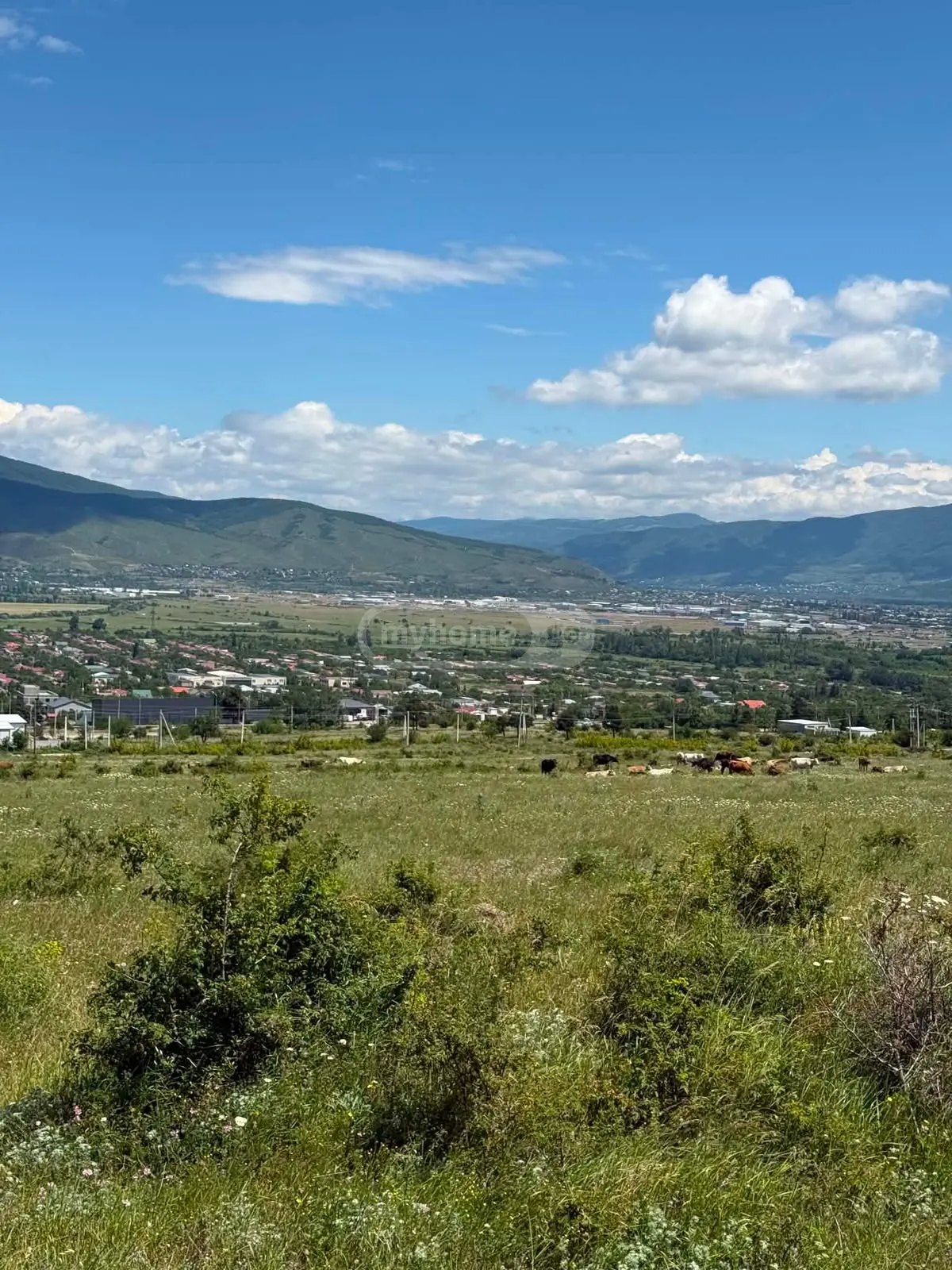 For Sale Sasoplo-Sameurneo Land Plot Mtskhetis Munitsipalitetshi view 1