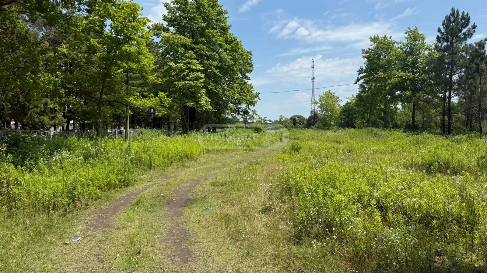 For Sale Ara Sasoplo-Sameurneo Land Plot Potshi view 3