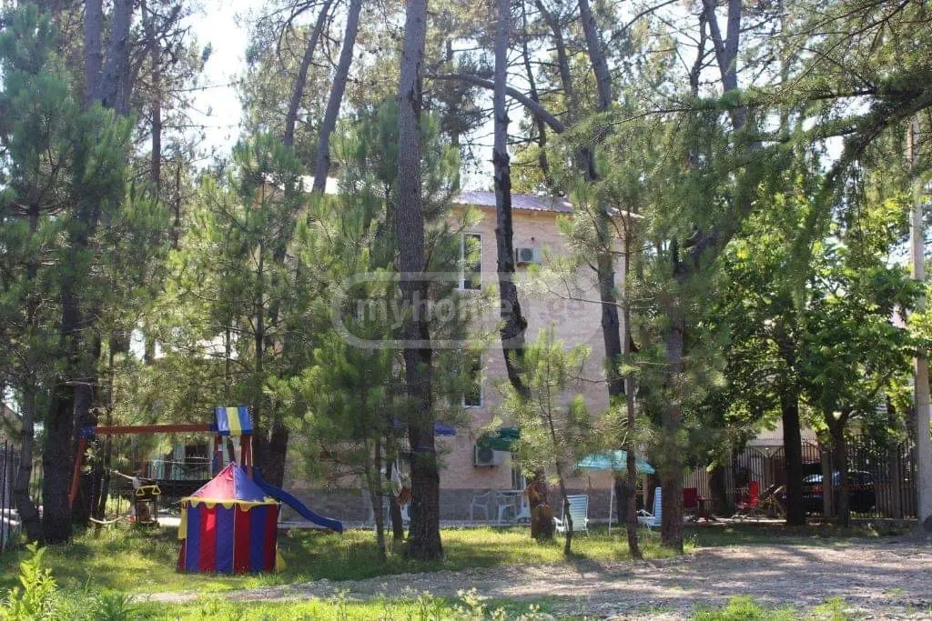 Daily Rent 8 Room Sastumro Lanchkhutis Munitsipalitetshi view 3
