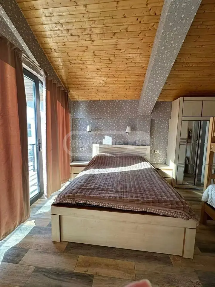 Daily Rent 2 Room Private House Bakurianshi, 12 of 12