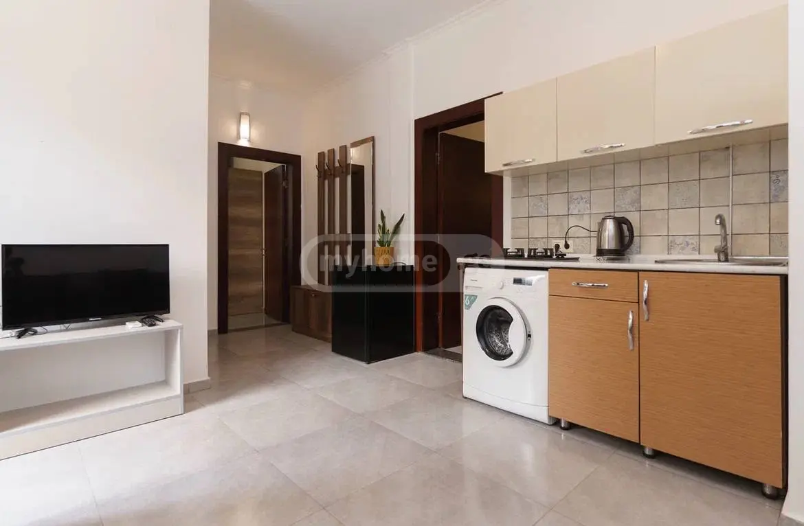Daily Rent 3 Room Sastumro Ozurgetis Munitsipalitetshi view 10