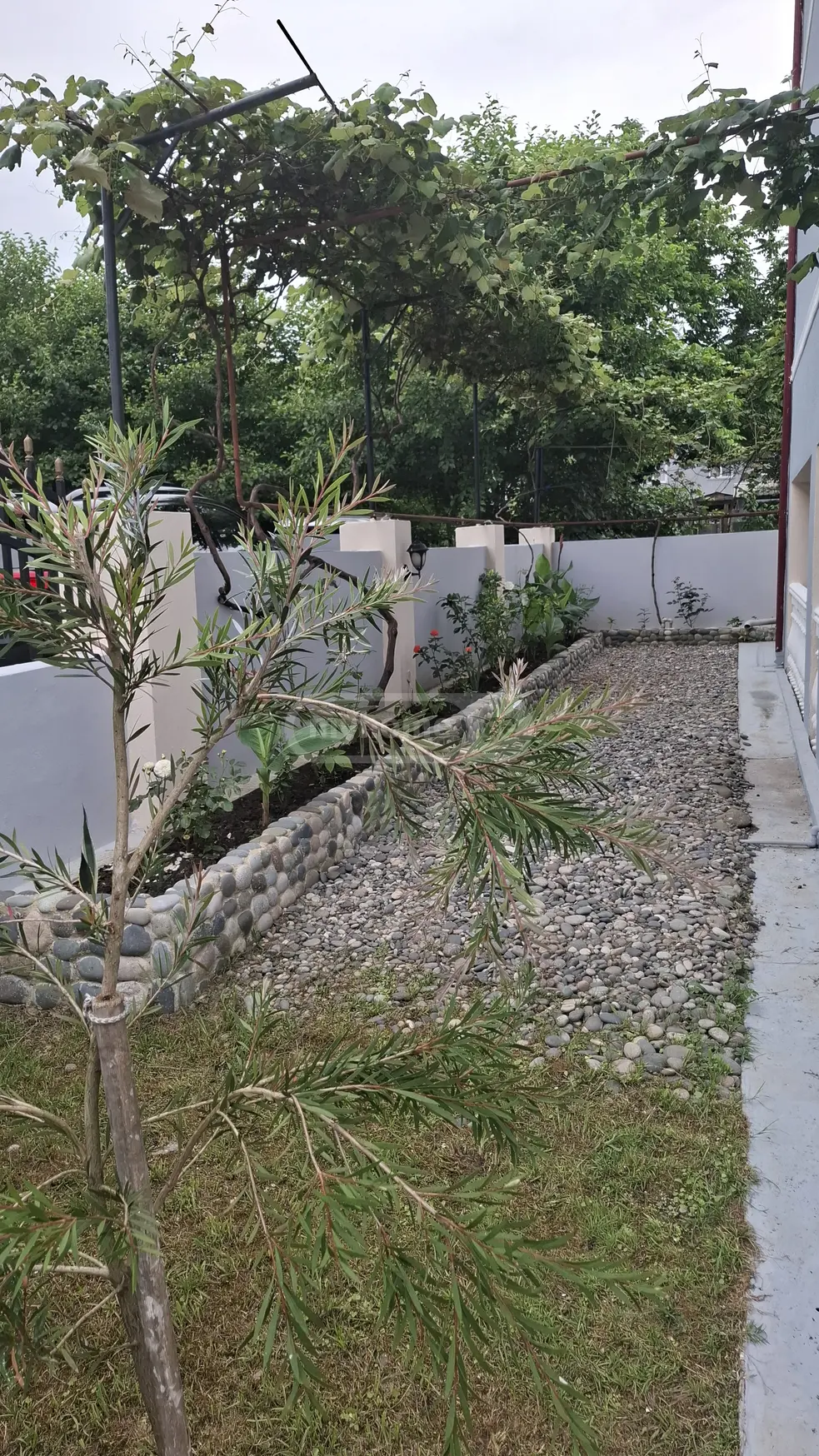 Daily Rent 4 Room Private House Ozurgetis Munitsipalitetshi view 2
