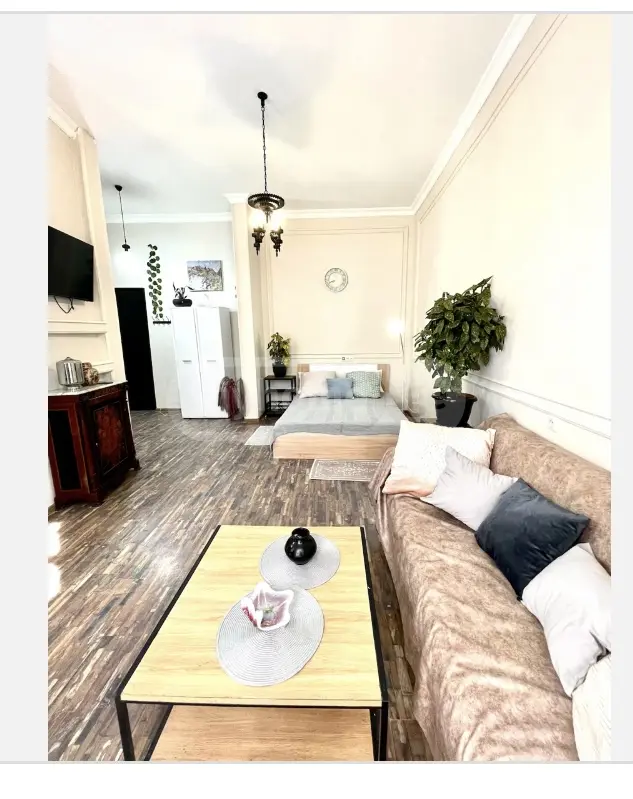 Daily Rent 1 Room Apartment Mtatsmindaze view 8