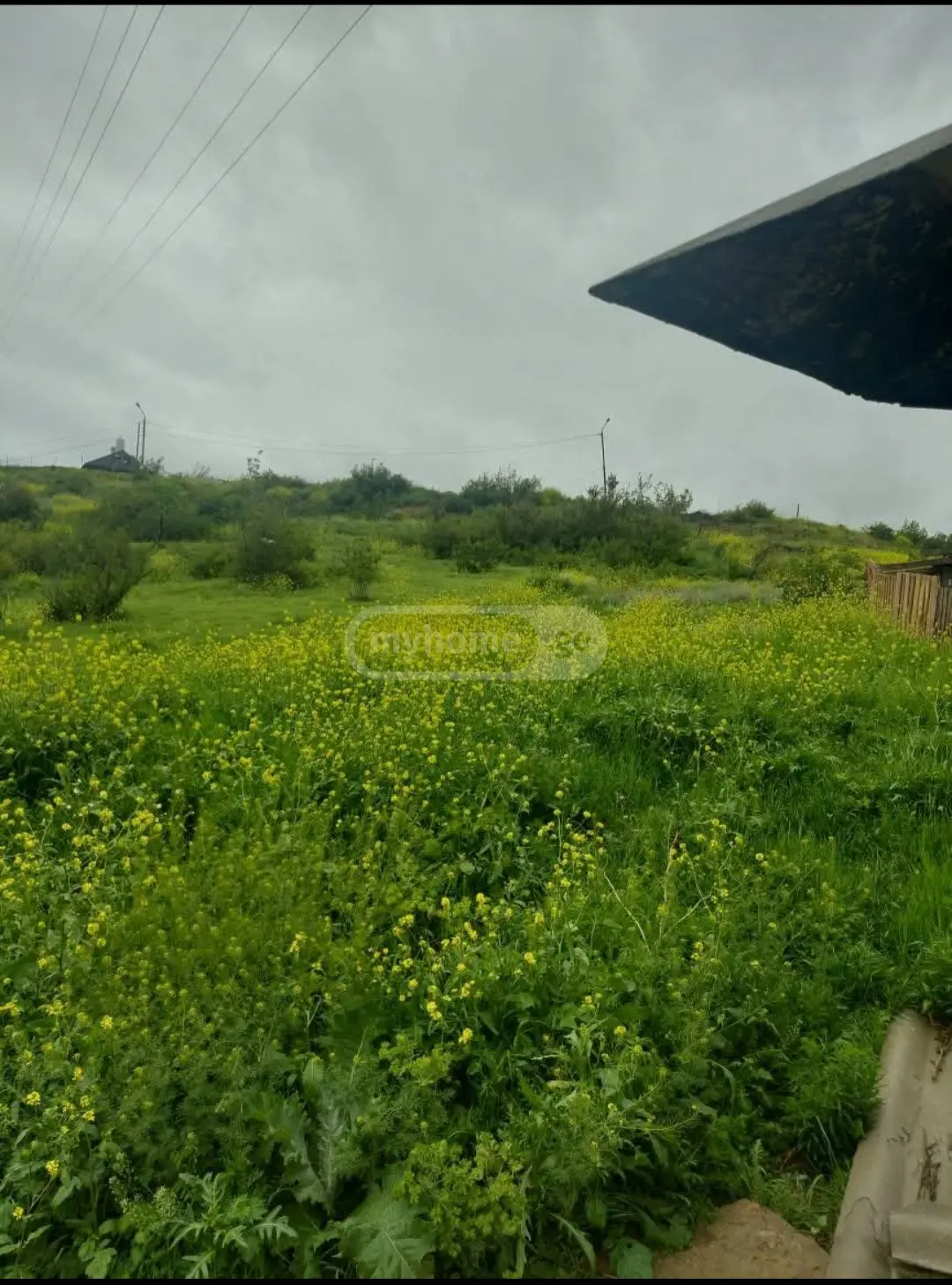 For Sale Sasoplo-Sameurneo Land Plot Nadzaladevshi, 2 of 8