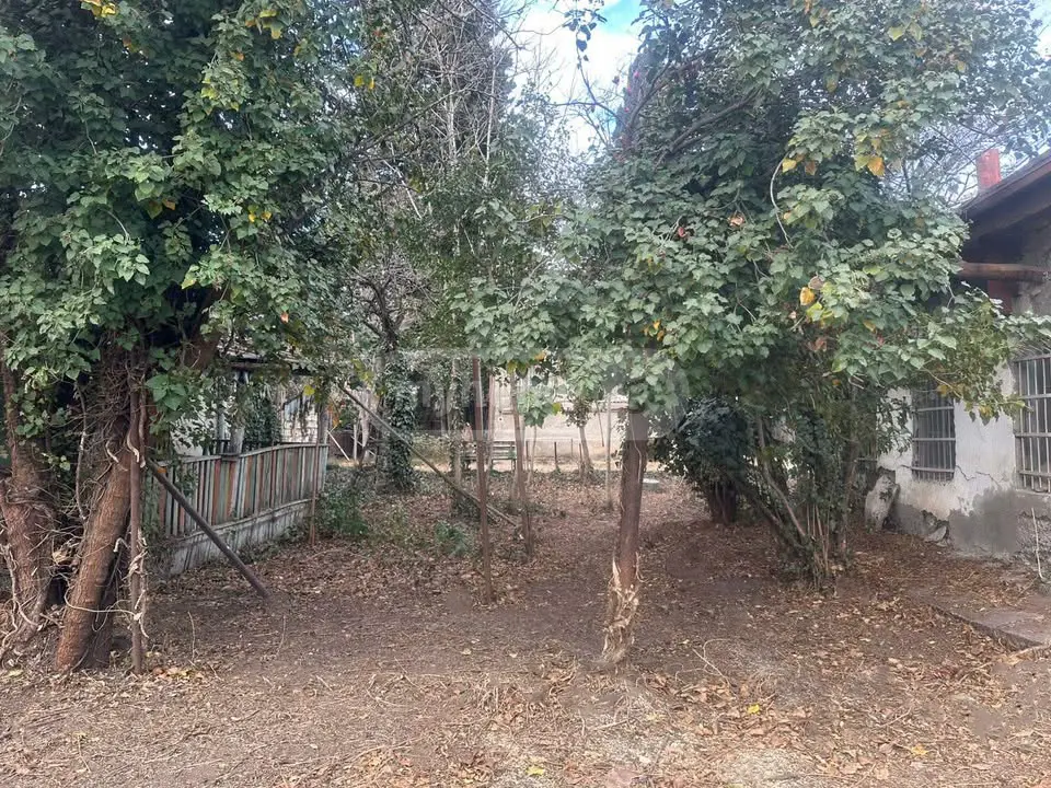 For Sale Ara Sasoplo-Sameurneo Land Plot Isanshi, 3 of 7