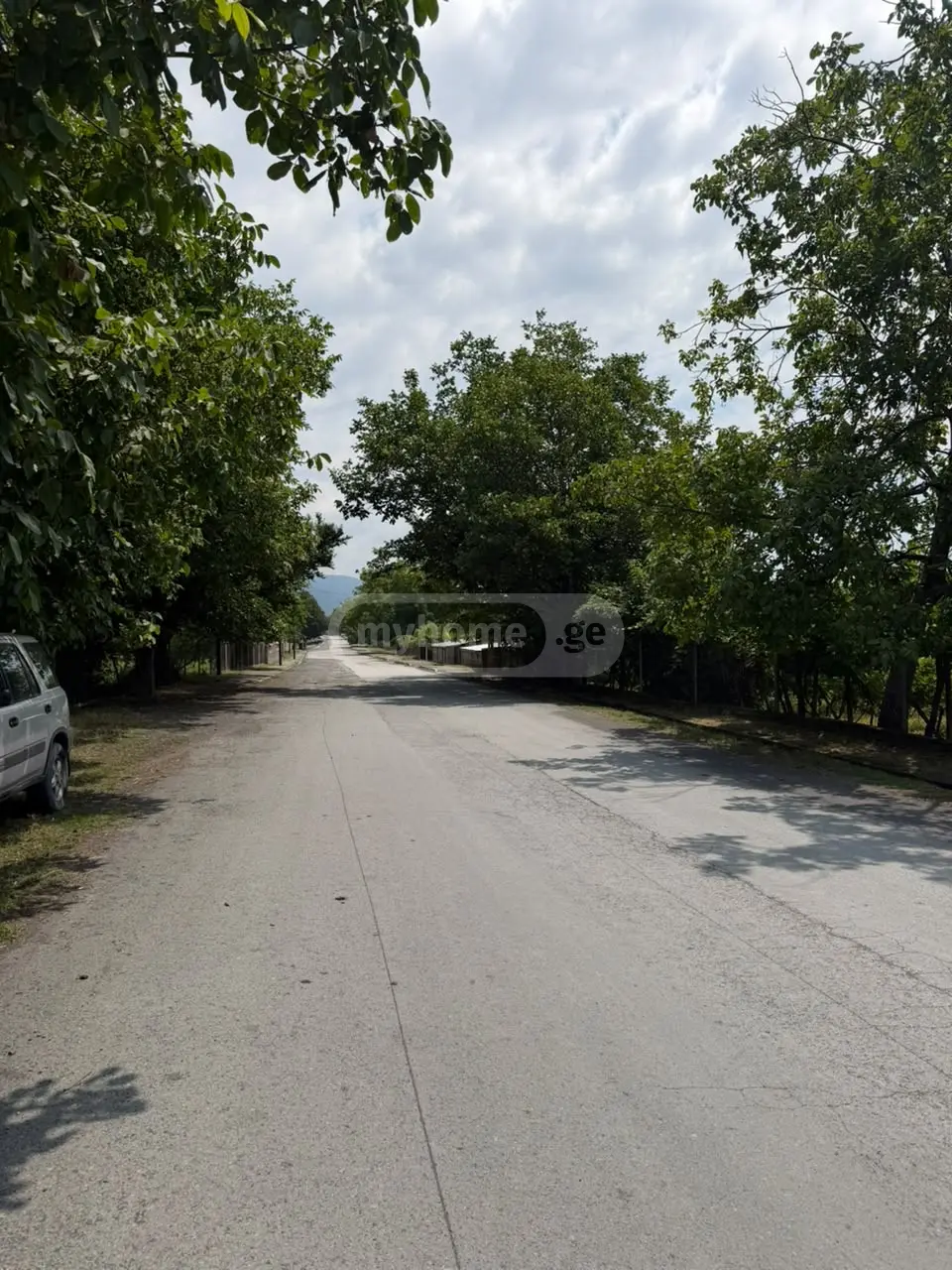 For Sale Sasoplo-Sameurneo Land Plot Qvarelshi view 2
