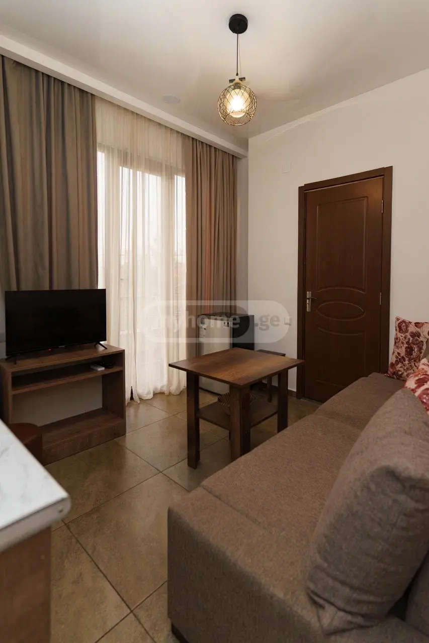 Daily Rent 3 Room Sastumro Ozurgetis Munitsipalitetshi view 1