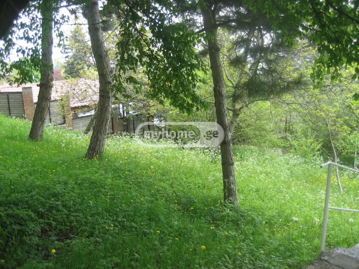 For Sale Mtliani Shenoba Commercial Space Kojorshi view 2