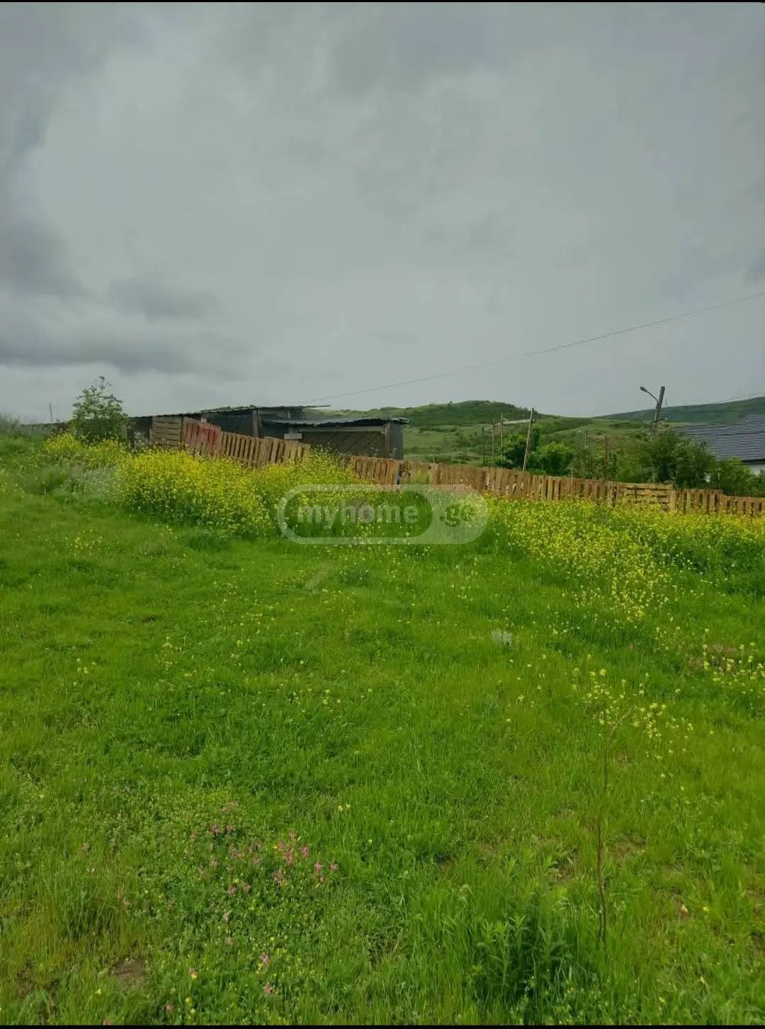 For Sale Sasoplo-Sameurneo Land Plot Nadzaladevshi, 8 of 8