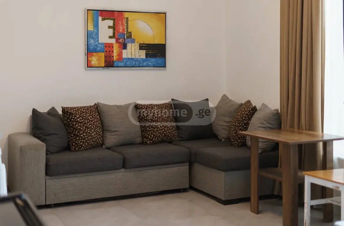 Daily Rent 3 Room Sastumro Ozurgetis Munitsipalitetshi view 11