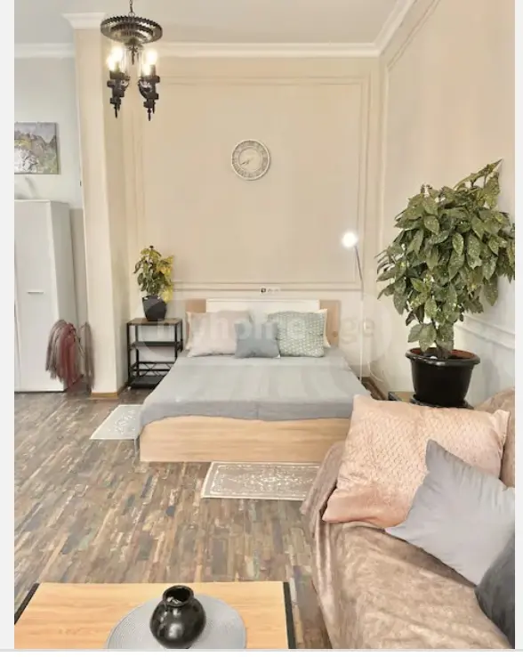 Daily Rent 1 Room Apartment Mtatsmindaze view 4