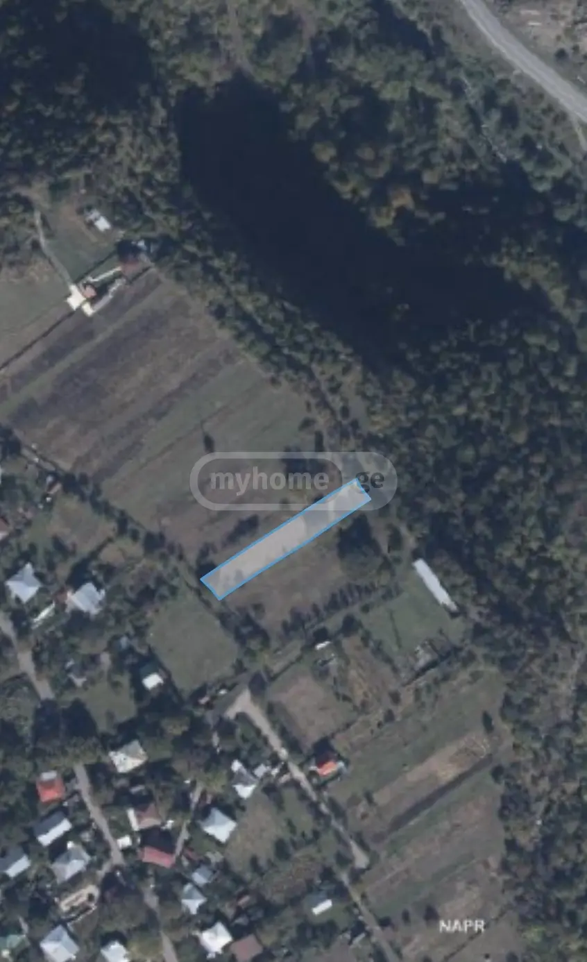 For Sale Ara Sasoplo-Sameurneo Land Plot Borjomshi view 3