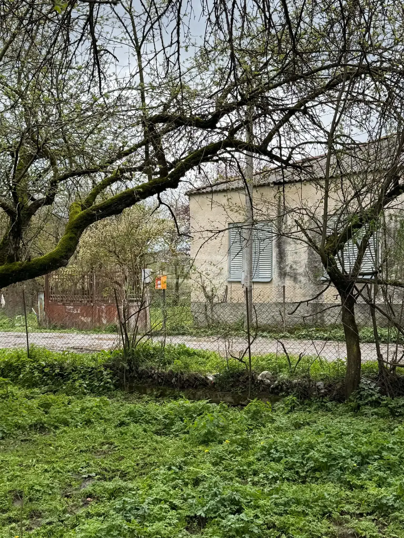 Продажа Земля / участок в Tianetis Munitsipalitetshi view 9