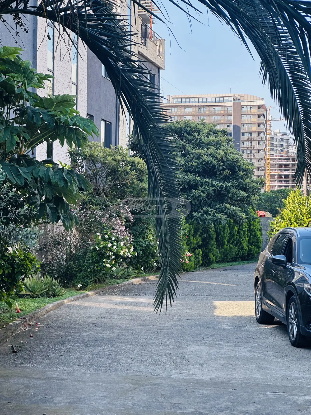 For Rent 10+ Room Country House In Batumi, 5 of 6