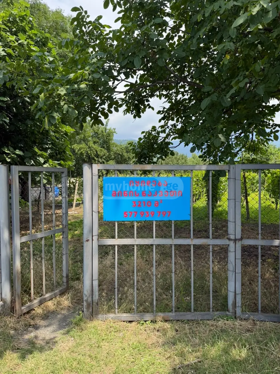For Sale Sasoplo-Sameurneo Land Plot Qvarelshi view 1