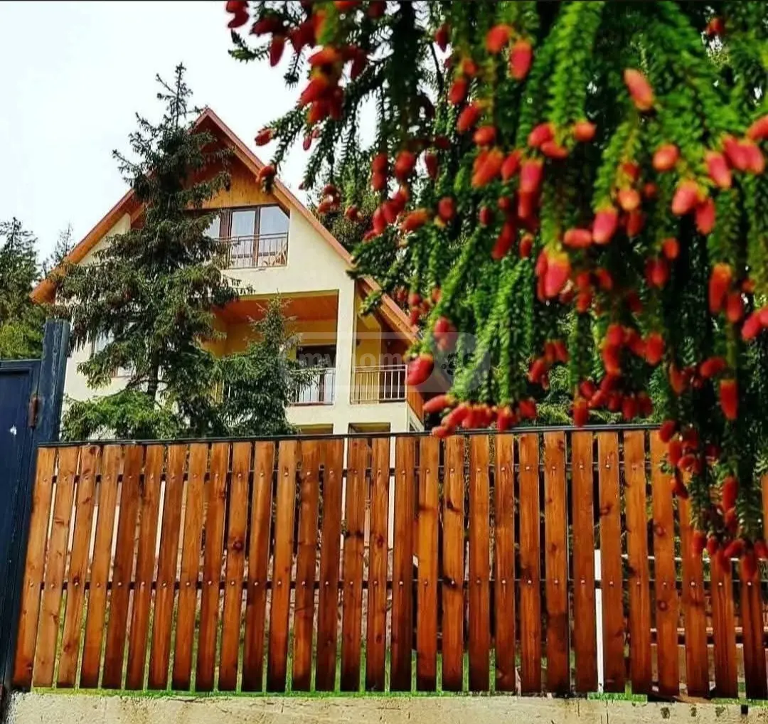 For Sale 10+ Room Sastumro Borjomis Munitsipalitetshi view 16