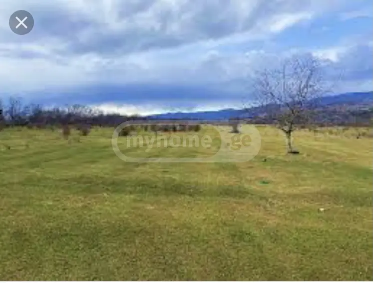 For Sale Sasoplo-Sameurneo Land Plot Sagarejos Munitsipalitetshi view 1