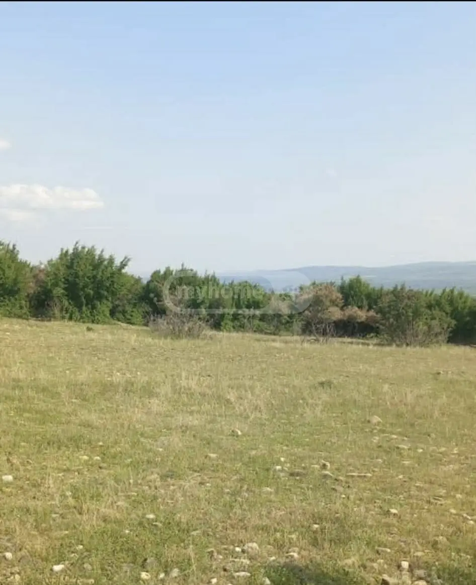 For Sale Sasoplo-Sameurneo Land Plot Sagarejos Munitsipalitetshi view 3