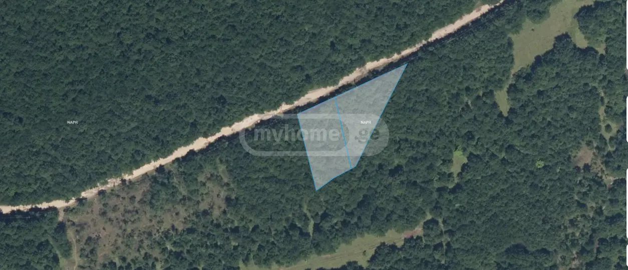 For Sale Sainvestitsio Land Plot Zugdidis Munitsipalitetshi view 3