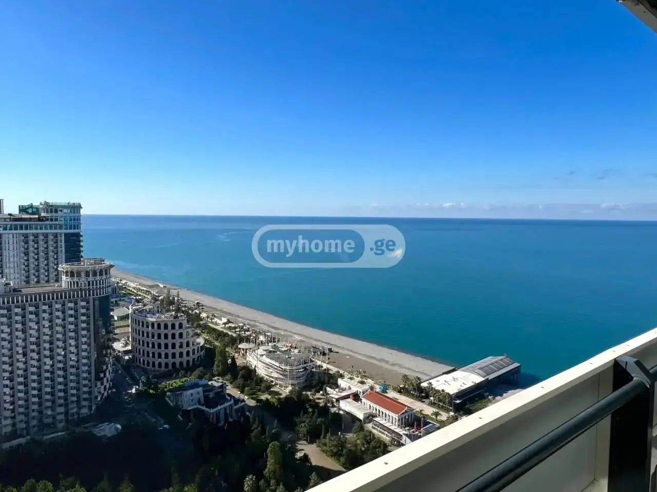 1 Room Flat Daily Rent. Batumi view 13