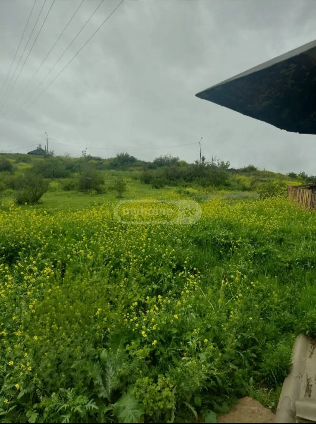 For Sale Sasoplo-Sameurneo Land Plot Nadzaladevshi, 2 of 8