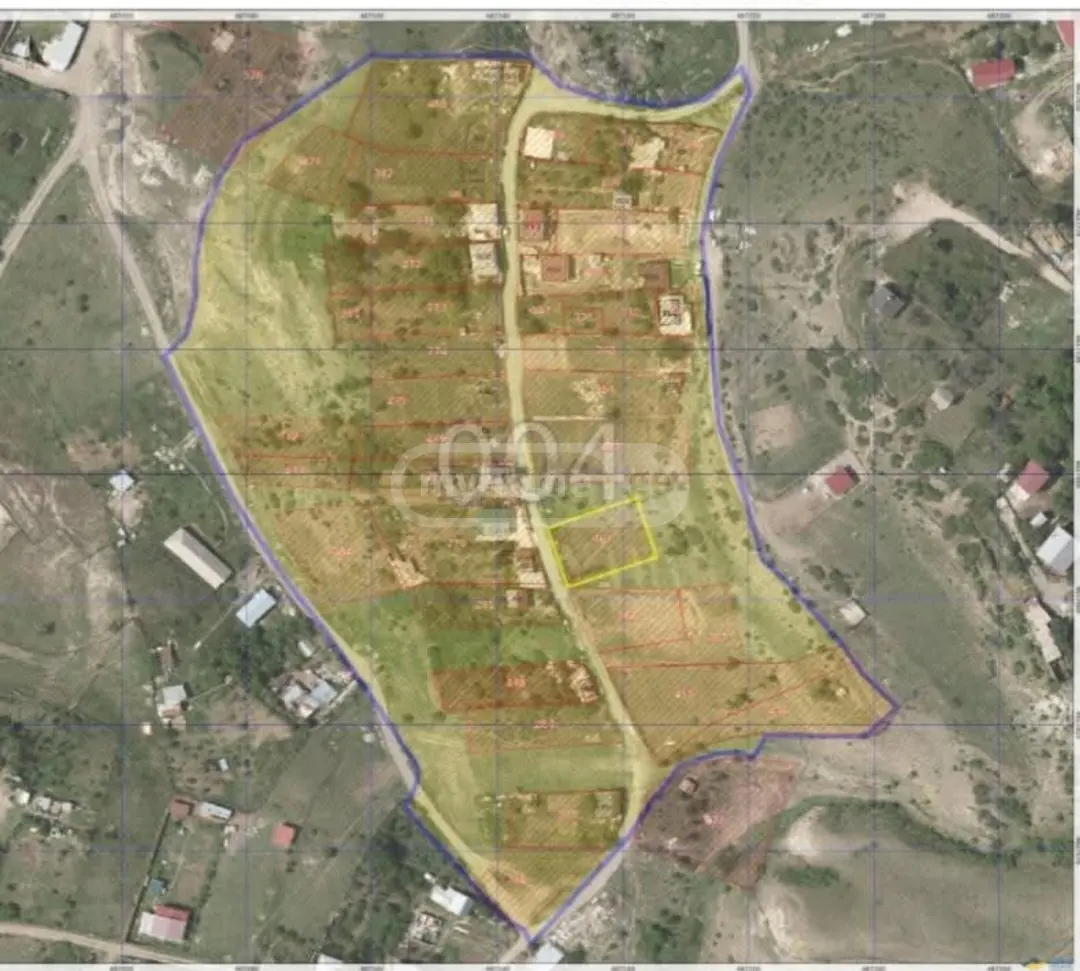 For Sale Sasoplo-Sameurneo Land Plot Nadzaladevshi, 4 of 8