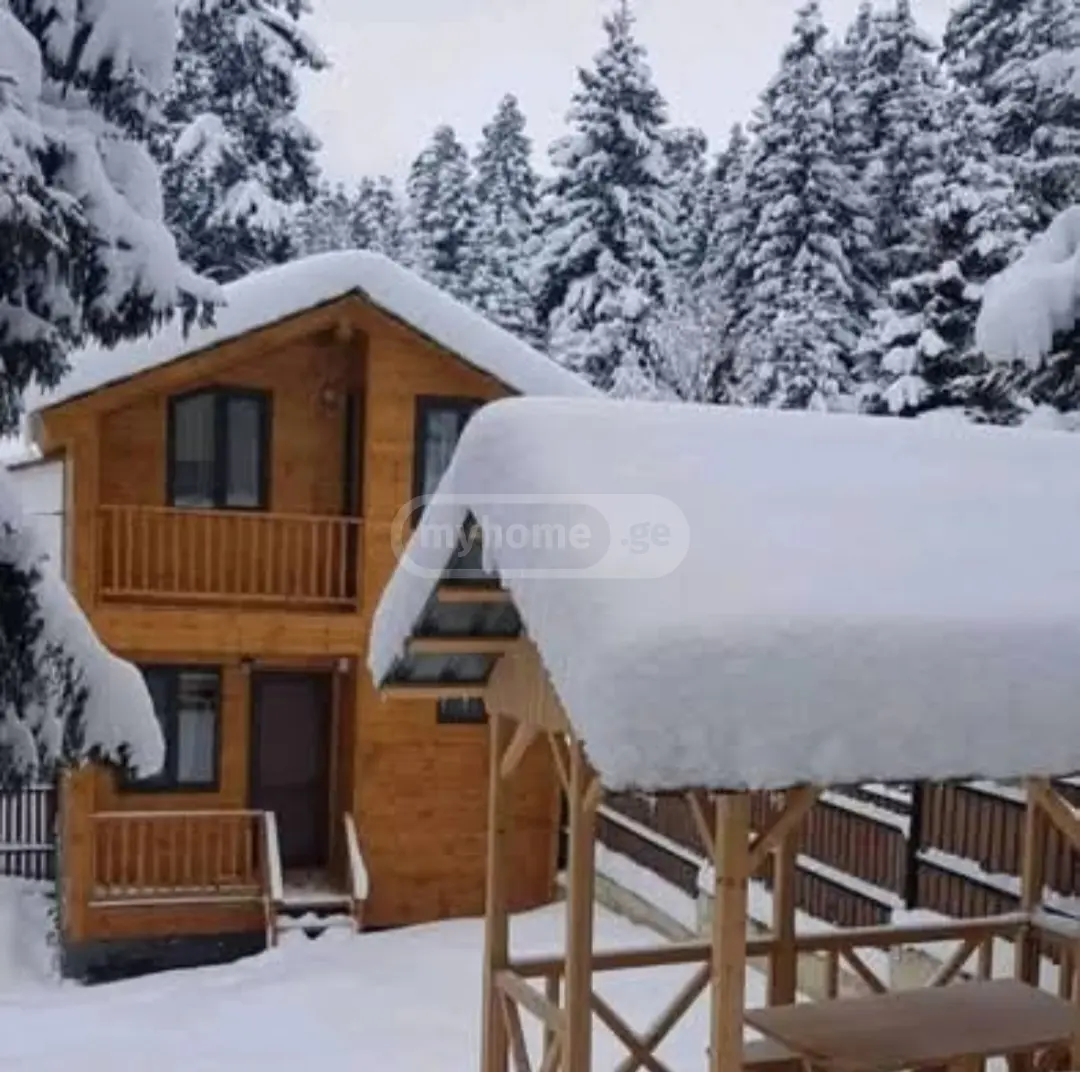 For Sale 10+ Room Sastumro Borjomis Munitsipalitetshi view 15