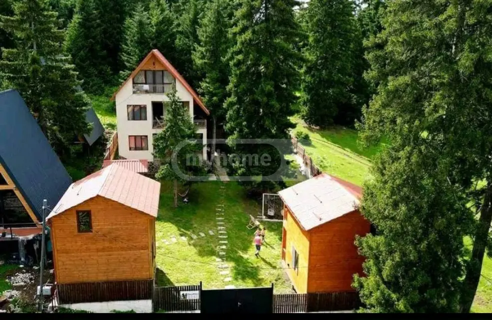 For Sale 10+ Room Sastumro Borjomis Munitsipalitetshi view 1