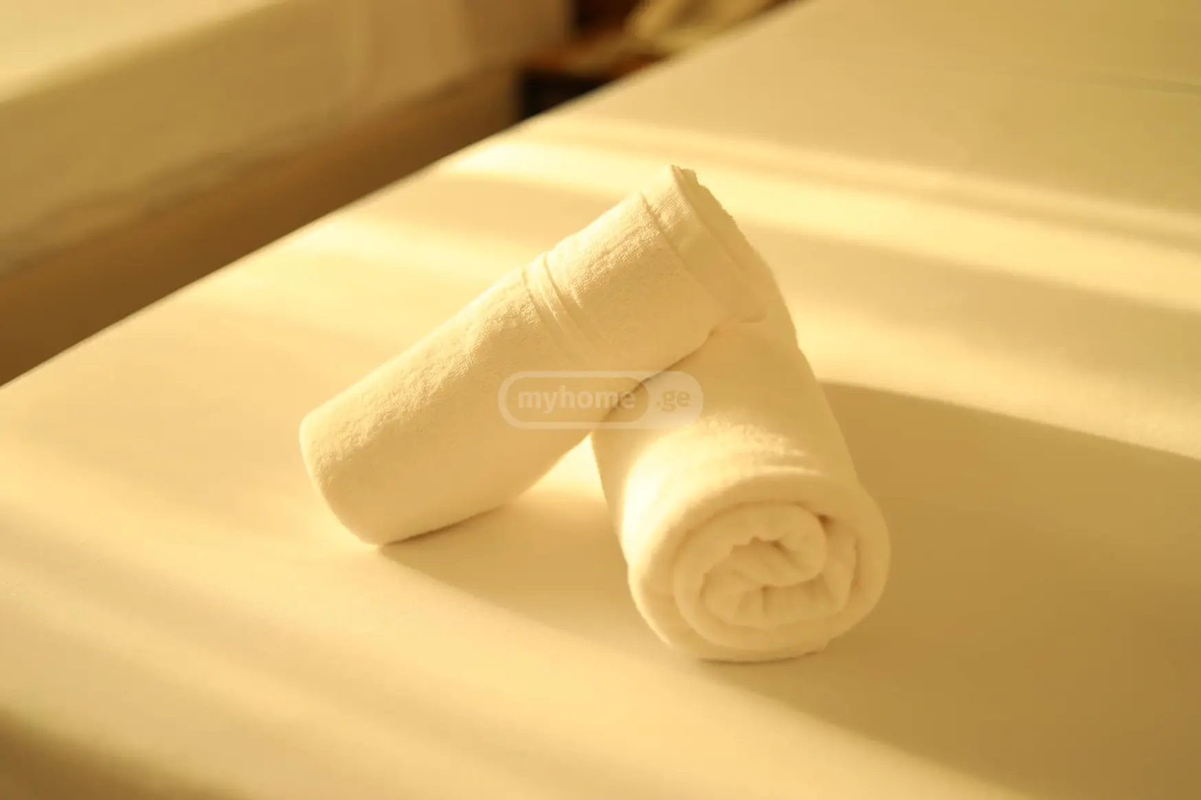 Daily Rent 10+ Room Sastumro In Batumi view 7