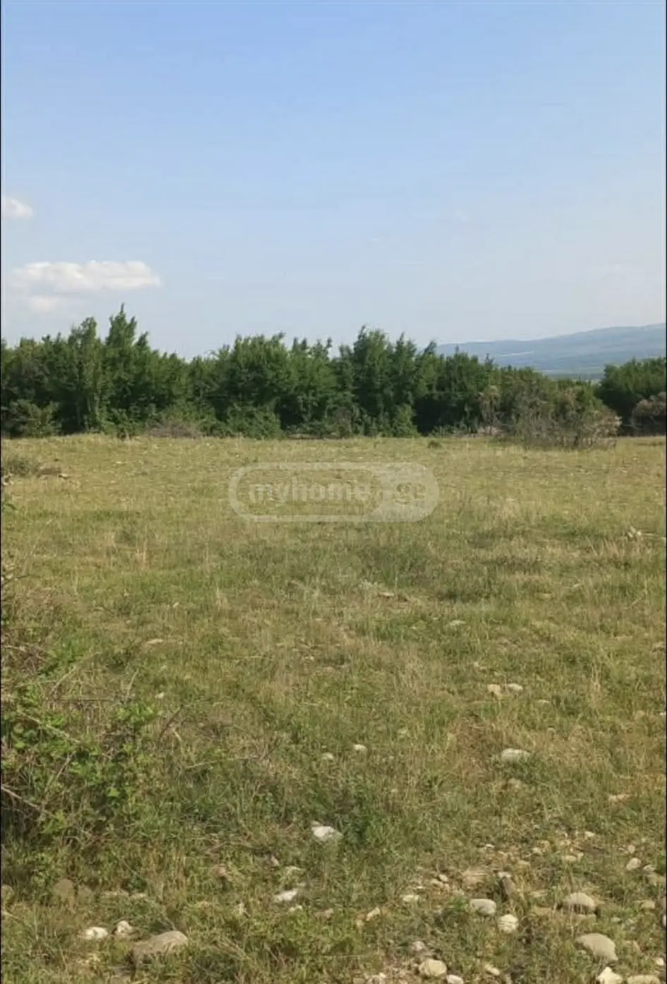 For Sale Sasoplo-Sameurneo Land Plot Sagarejos Munitsipalitetshi view 1