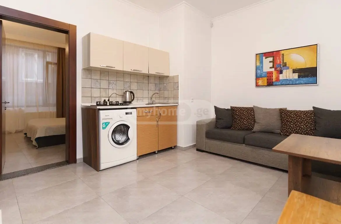 Daily Rent 3 Room Sastumro Ozurgetis Munitsipalitetshi view 5