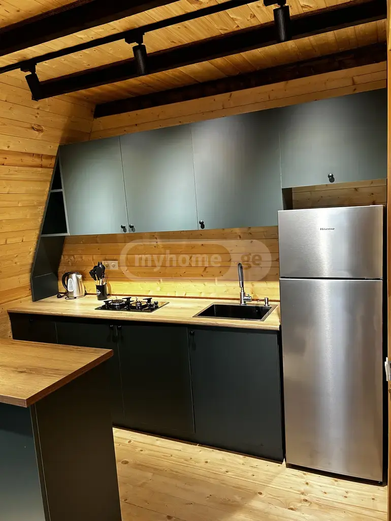 Daily Rent 3 Room Private House Mukhianshi view 7