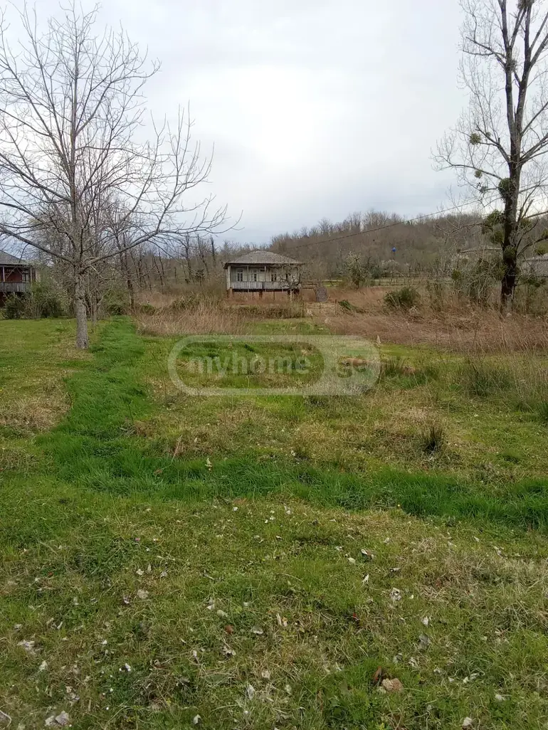 For Sale Sasoplo-Sameurneo Land Plot Nadzaladevshi, 1 of 1