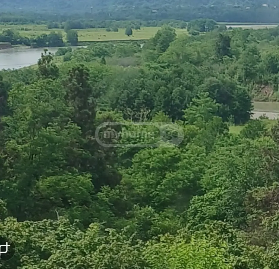 For Sale 7 Room Private House Ozurgetshii view 3