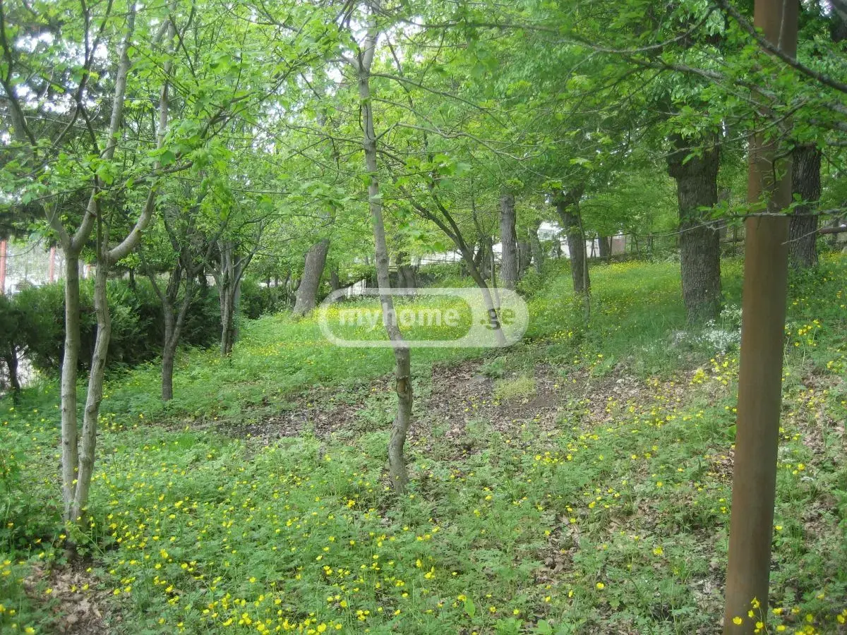 For Sale Mtliani Shenoba Commercial Space Kojorshi view 8