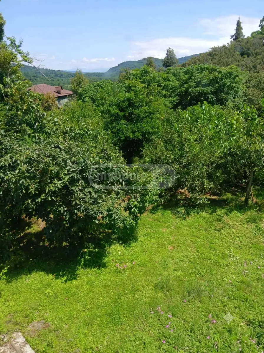 For Sale 7 Room Private House Ozurgetshii view 4