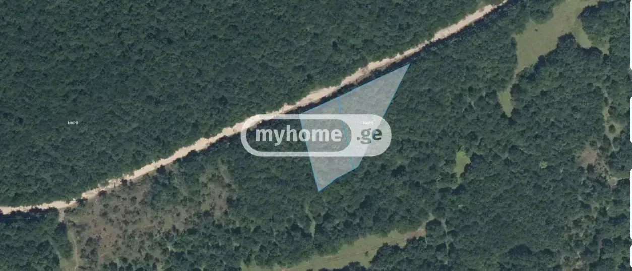 For Sale Sainvestitsio Land Plot Zugdidis Munitsipalitetshi view 1