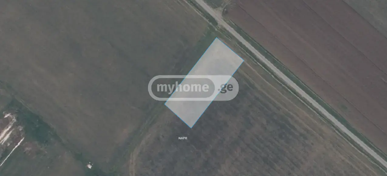 For Sale Sasoplo-Sameurneo Land Plot Gardabnis Munitsipalitetshi view 1
