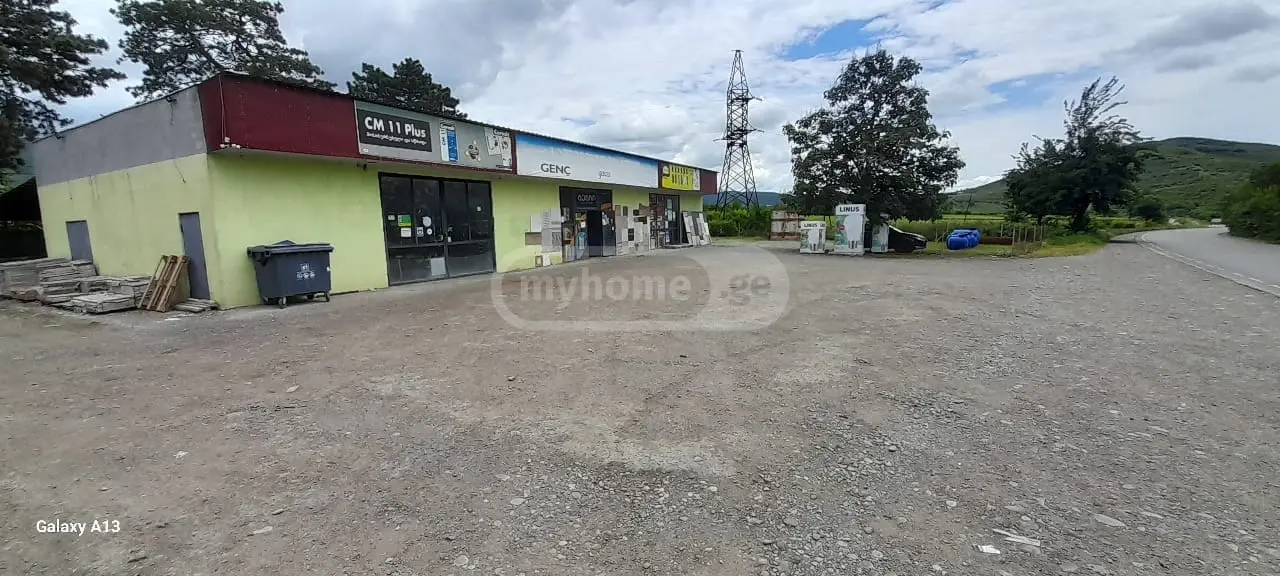 For Sale Universaluri Commercial Space Sagarejoshi view 1