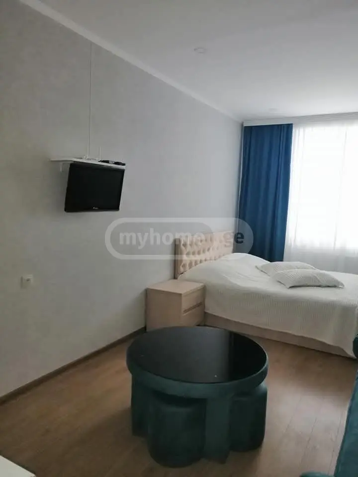 For Sale 1 Room Sastumro Bakurianshi, 3 of 6