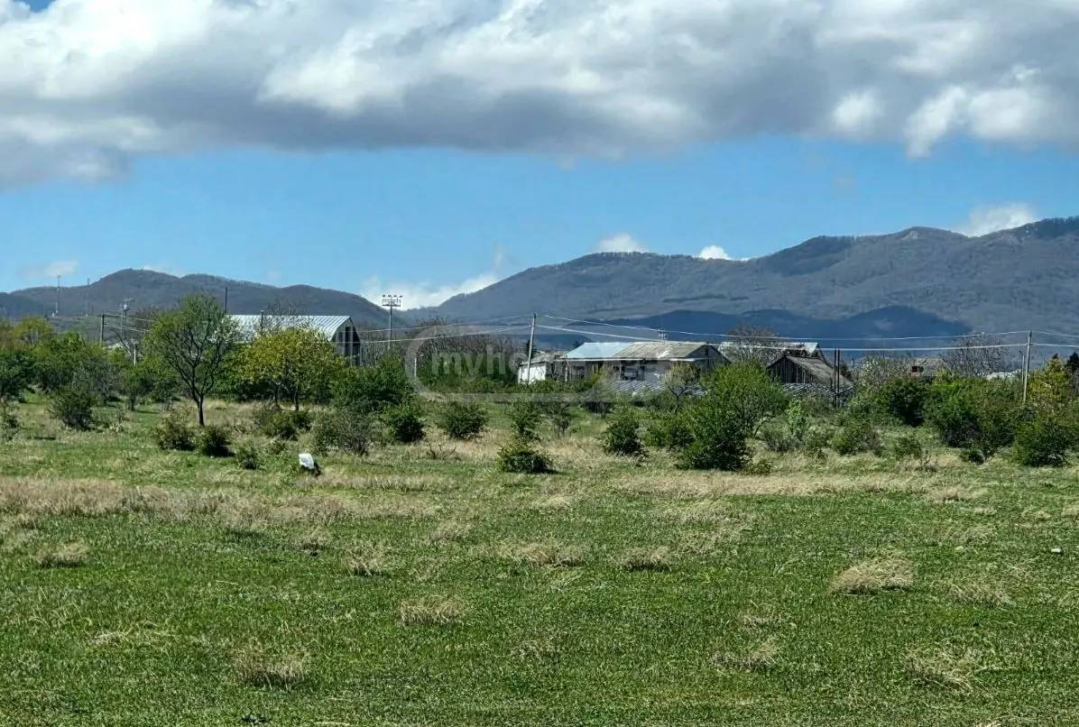 For Sale Sasoplo-Sameurneo Land Plot Gardabnis Munitsipalitetshi view 2