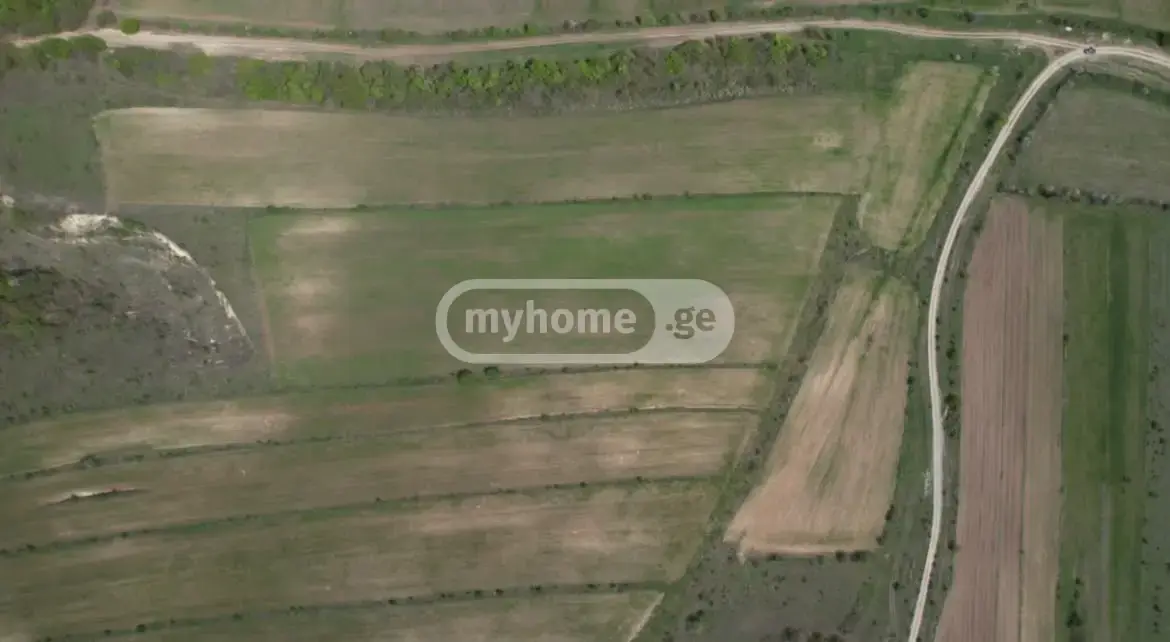 For Sale Sasoplo-Sameurneo Land Plot Dushetshi view 3