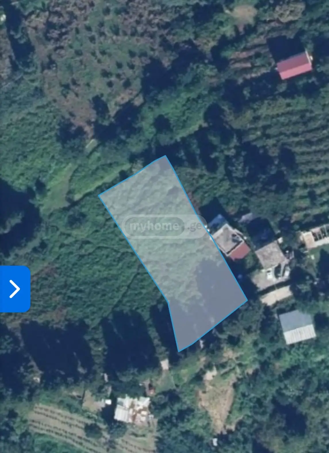 For Sale Ara Sasoplo-Sameurneo Land Plot In Batumi view 4