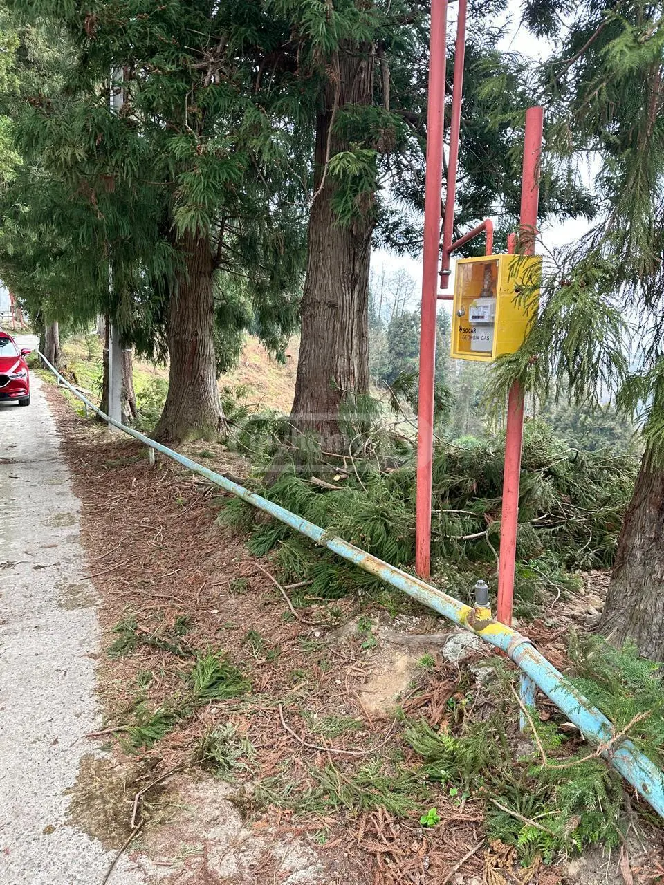 For Sale Ara Sasoplo-Sameurneo Land Plot In Batumi view 7