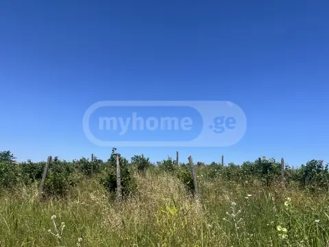 Продажа Земля / участок в Sagarejos Munitsipalitetshi view 1
