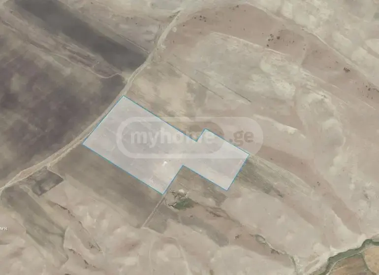 For Sale Sasoplo-Sameurneo Land Plot Sighnaghshi view 7