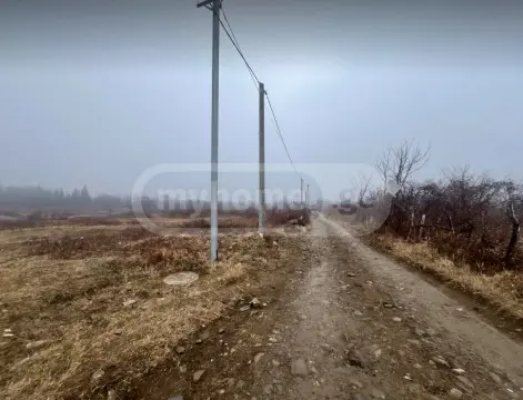 For Sale Sasoplo-Sameurneo Land Plot Telavis Munitsipalitetshi view 5